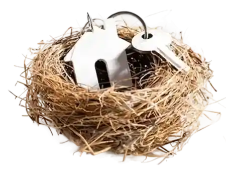 7703377420bb8286c325d opt